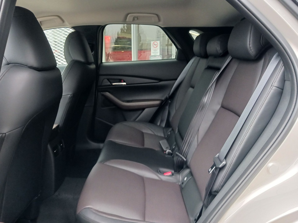 MAZDA CX-30 2.5L e-SKYACTIV G 140ps 6AT FWD Takumi BLOP