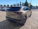 MAZDA CX-30 2.0L e-SKYACTIV X186ps 6AT FWD Nagisa 