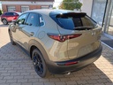 MAZDA CX-30 2.0L e-SKYACTIV X186ps 6AT FWD Nagisa 