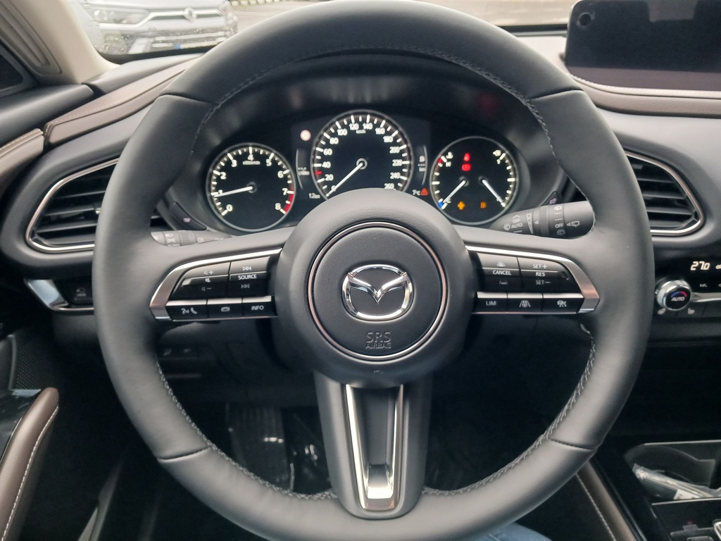 MAZDA CX-30 2.5L e-SKYACTIV G 140ps 6AT FWD Takumi