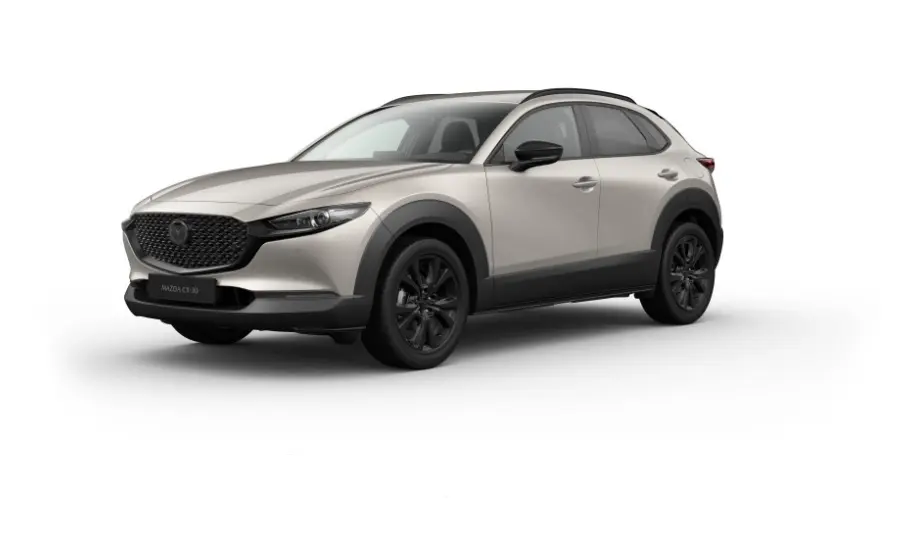 MAZDA CX-30 2.5L e-SKYACTIV G 140ps 6AT FWD Homura Plus