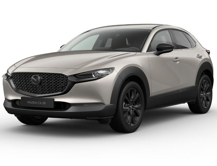 MAZDA CX-30 2.5L e-SKYACTIV G140ps 6AT FWD Nagisa - JANUÁR