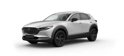 [7587106] MAZDA CX-30 2.5L e-SKYACTIV G 140ps 6AT FWD Nagisa