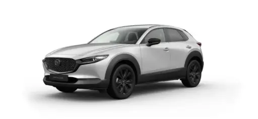 [7654630] MAZDA CX-30 2.5L e-SKYACTIV G 140ps 6AT FWD Makoto Augusztusi Érkezés  