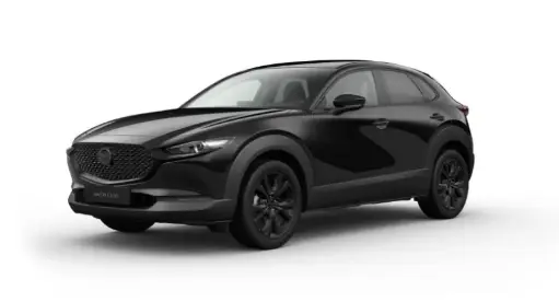 [7654657] MAZDA CX-30 2.5L e-SKYACTIV G 140ps 6AT FWD Makoto