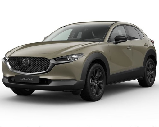 [7558005 DEMO AOLB473] MAZDA CX-30 2.5L e-SKYACTIV G140ps 6AT FWD Homura - DEMO